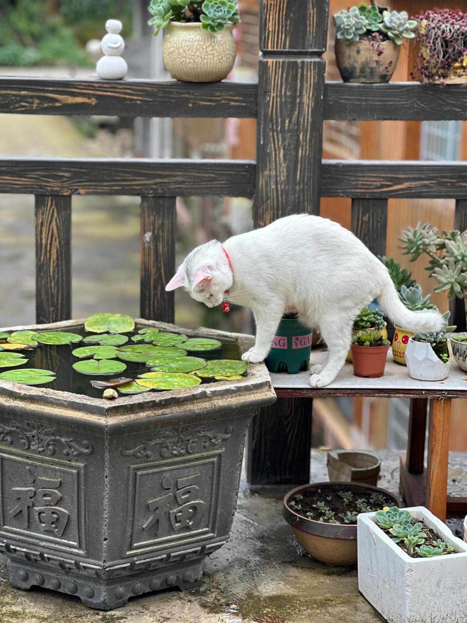 Tongfu Inn Trương Gia Giới Ngoại thất bức ảnh