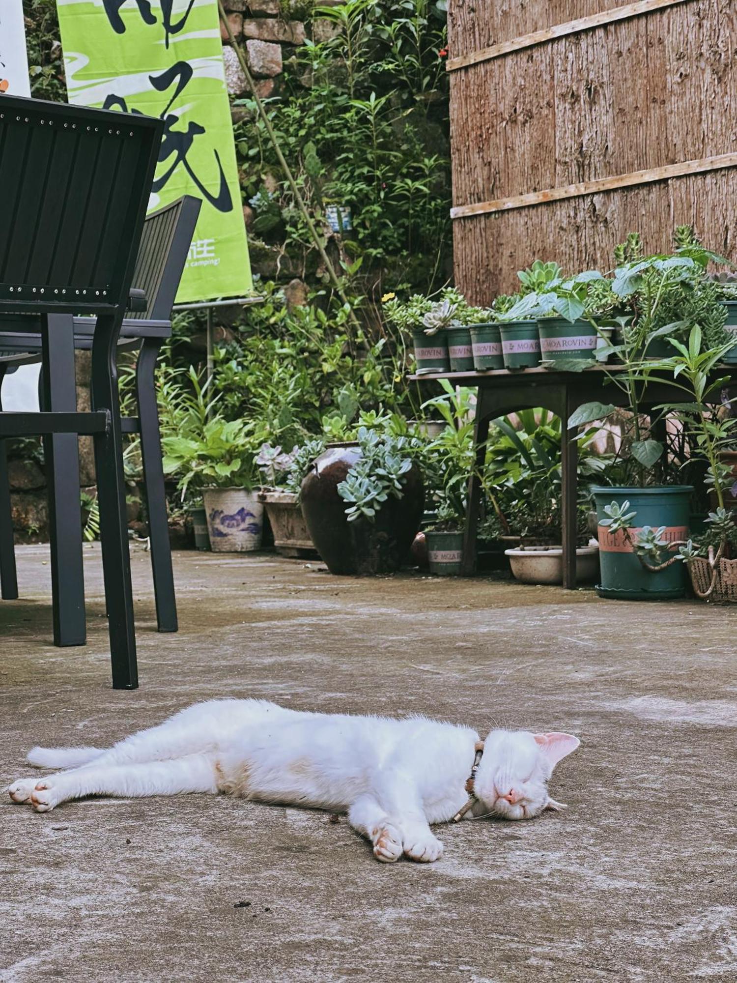 Tongfu Inn Trương Gia Giới Ngoại thất bức ảnh